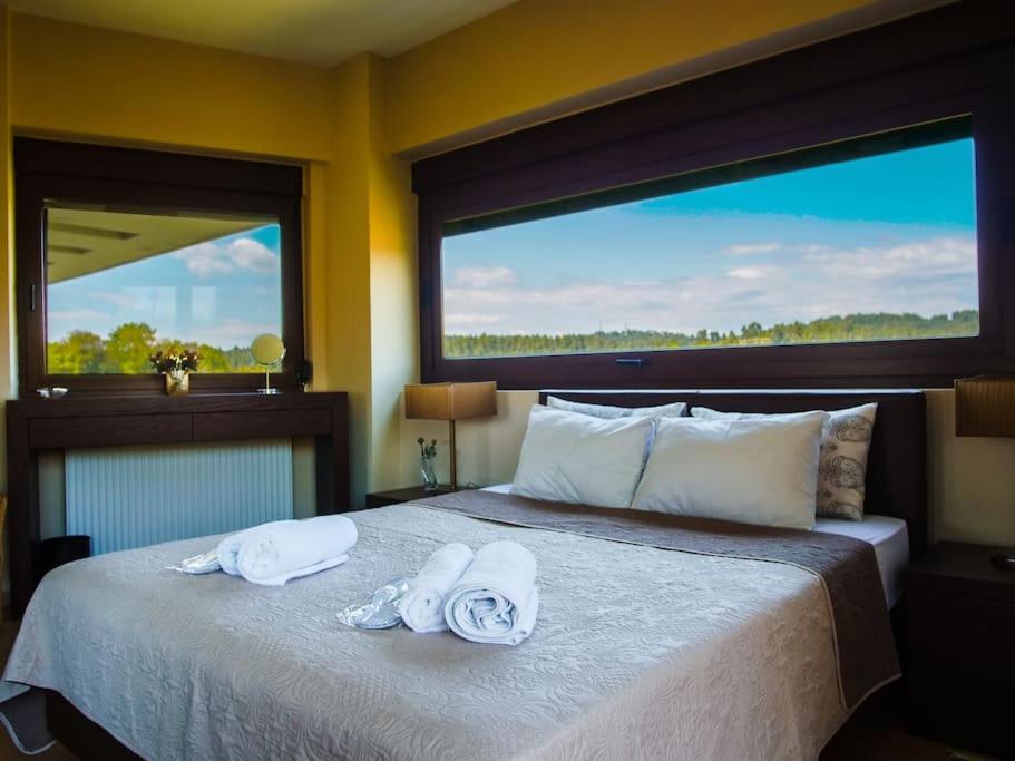 Luxury Villa Kassandrino Kassandrinón 외부 사진