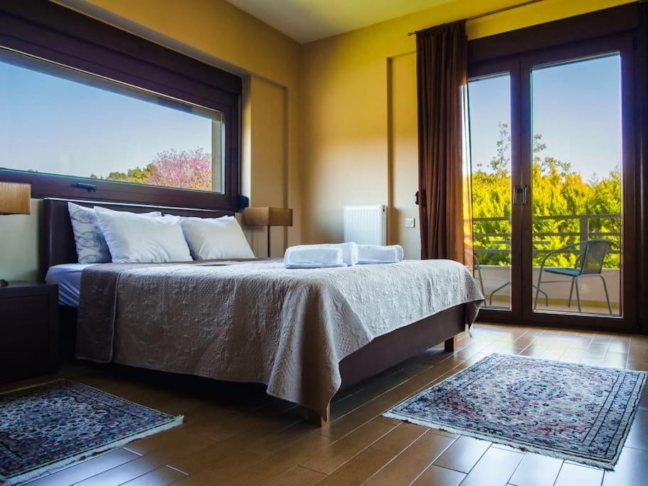 Luxury Villa Kassandrino Kassandrinón 외부 사진