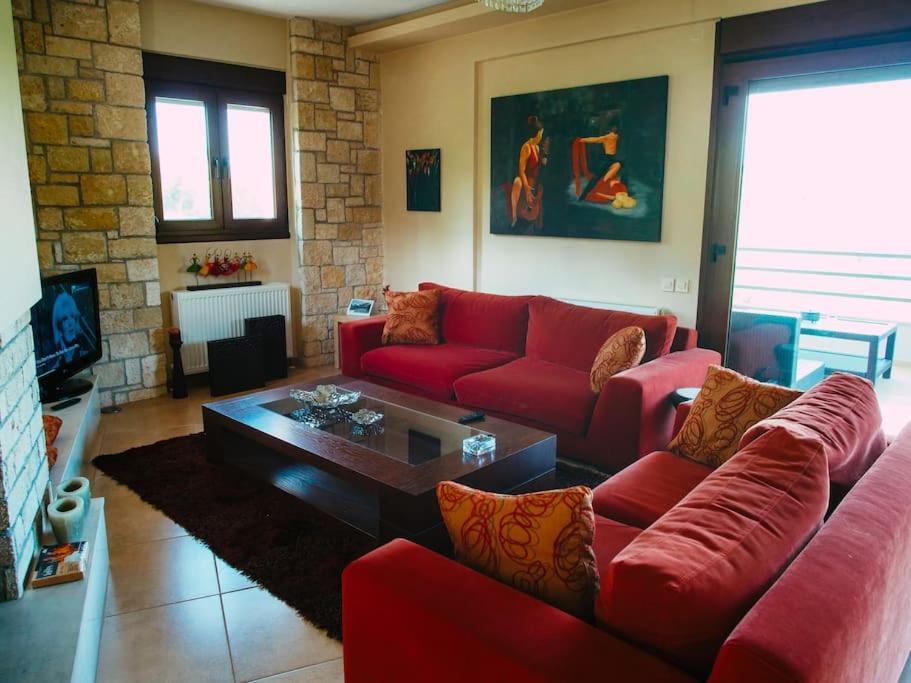 Luxury Villa Kassandrino Kassandrinón 외부 사진