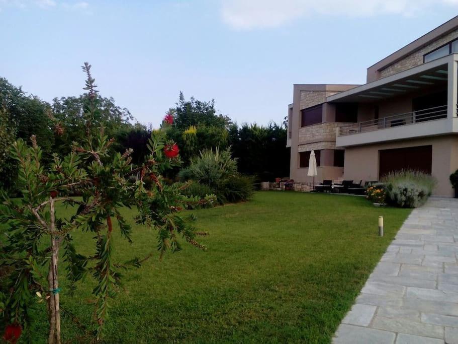 Luxury Villa Kassandrino Kassandrinón 외부 사진
